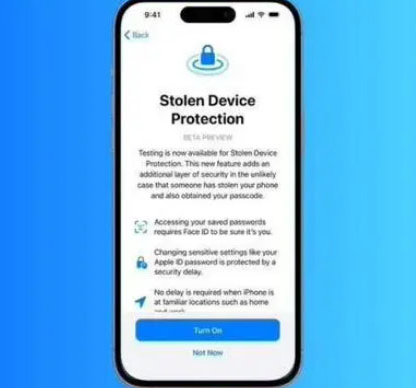 天河苹果授权维修店分享被盗设备保护功能开启方法 
