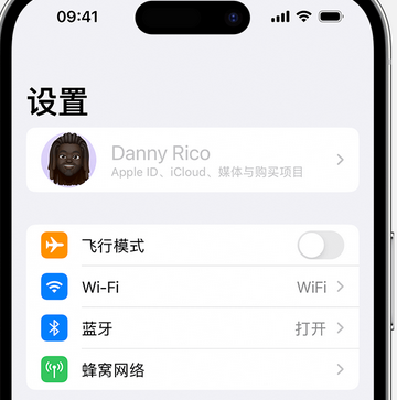 天河appleID维修服务iPhone设置中Apple ID显示为灰色无法使用 