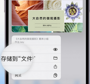 天河apple维修中心分享iPhone文件应用中存储和找到下载文件