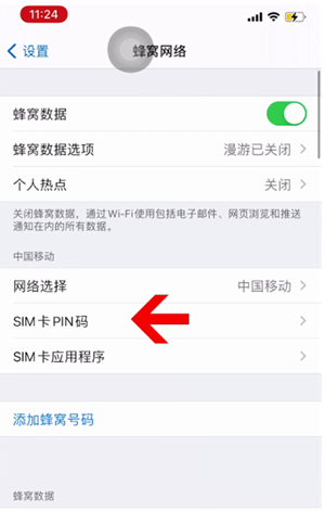 天河苹果14维修网分享如何给iPhone14的SIM卡设置密码 