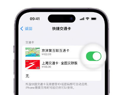 天河apple维修点分享iPhone上更换Apple Pay快捷交通卡手绘卡面 