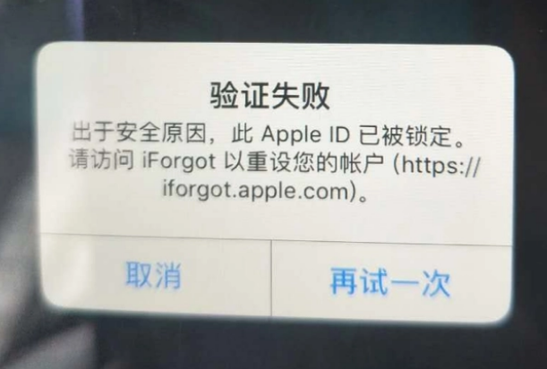 天河iPhone维修分享iPhone上正常登录或使用AppleID怎么办 