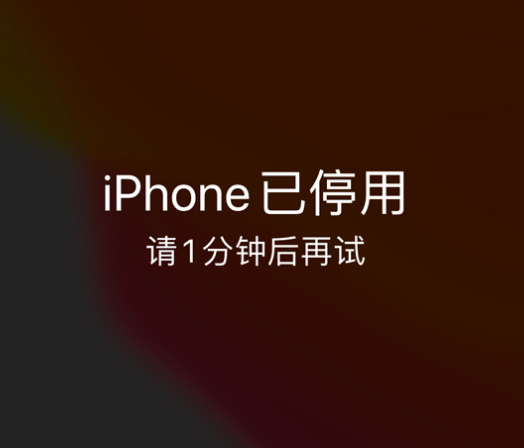 天河苹果手机维修分享:iPhone 显示“不可用”或“已停用”怎么办？还能保留数据吗？ 