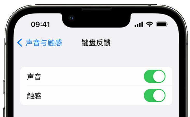 天河苹果手机维修分享iPhone 14触感键盘使用方法 