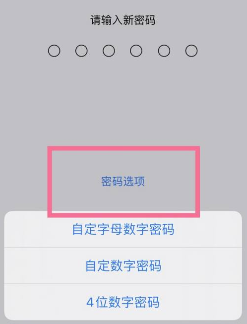 天河苹果14维修分享iPhone 14plus设置密码的方法 