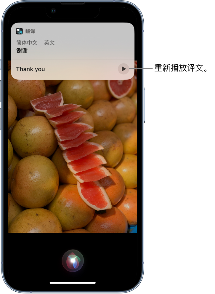 天河苹果14维修分享 iPhone 14 机型中使用 Siri：了解 Siri 能帮你做什么 