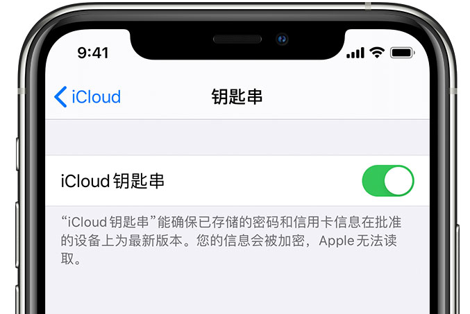 天河苹果手机维修分享在 iPhone 上开启 iCloud 钥匙串之后会储存哪些信息 